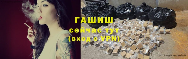 гидра Инсар