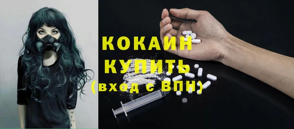 гидра Инсар