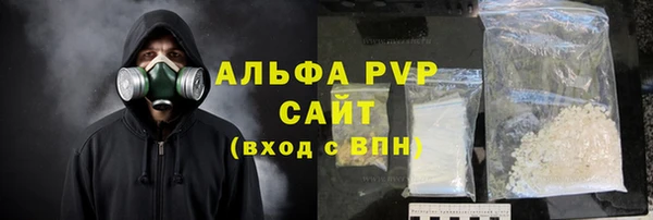 гидра Инсар