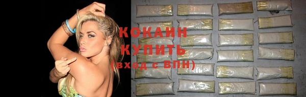 гидра Инсар