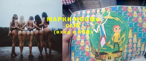гидра Инсар