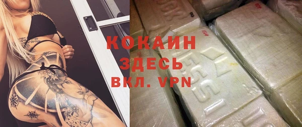 гидра Инсар