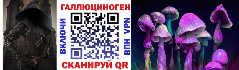 Купить где  Ковдор  Галлюциногенные грибы прущие грибы 