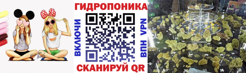МАРИХУАНА гибрид  Купить где  Ковдор 